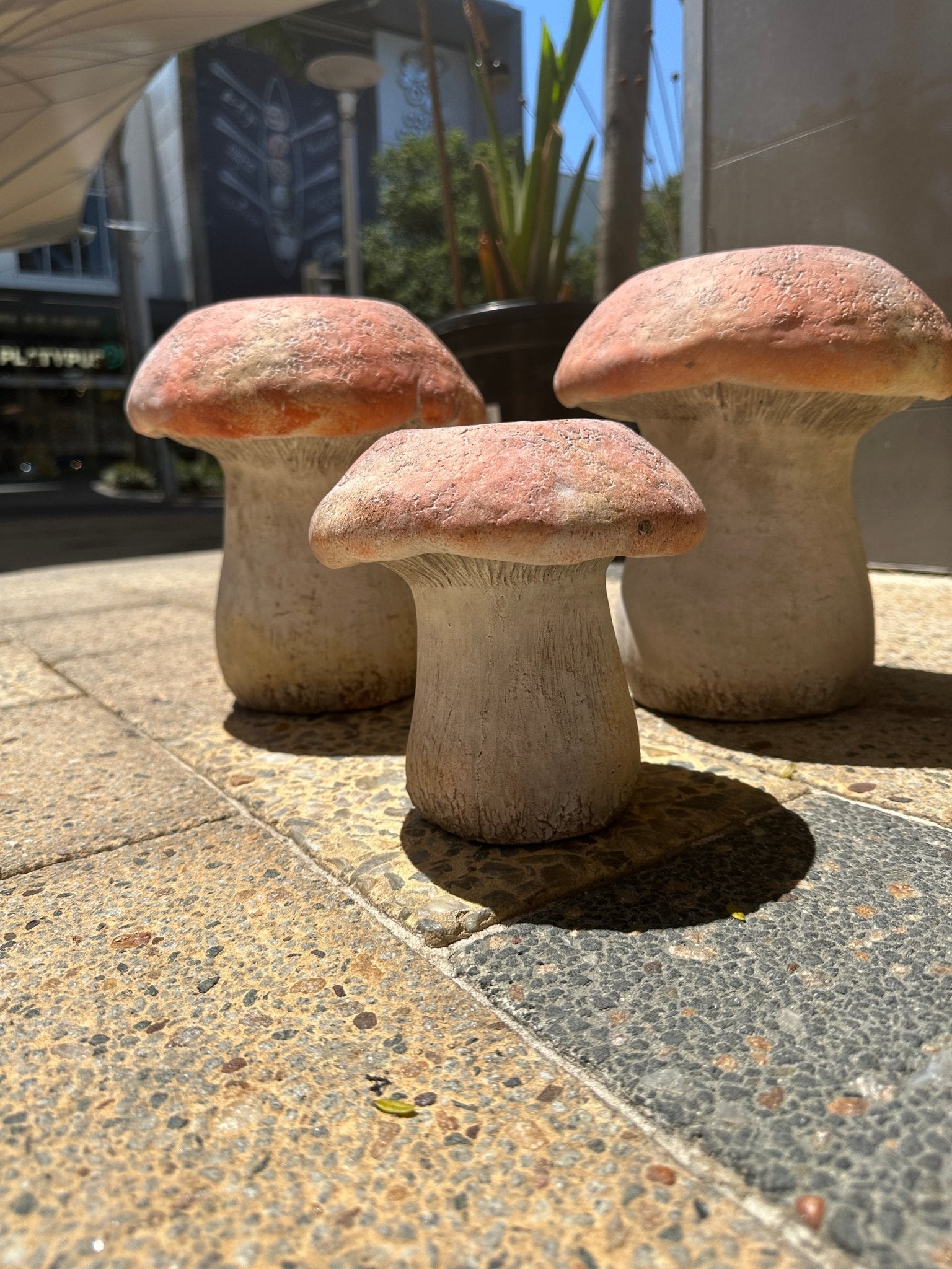 Mushroom shops Planter